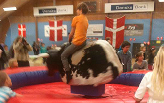 Rodeotyr